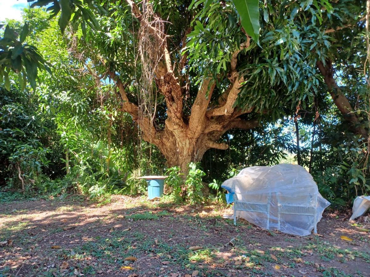 Jubilee Campsite Swim & Paint Las Piedras Exterior photo